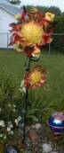 Wide variety of Sunflowers